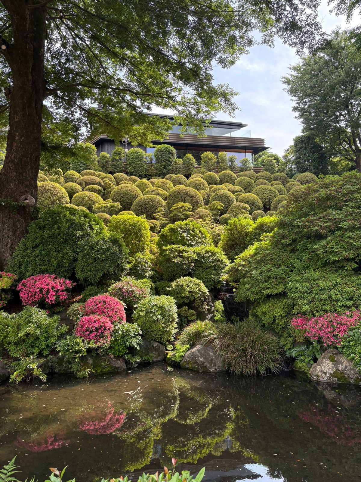 Garden scenery at the University of Tokyo