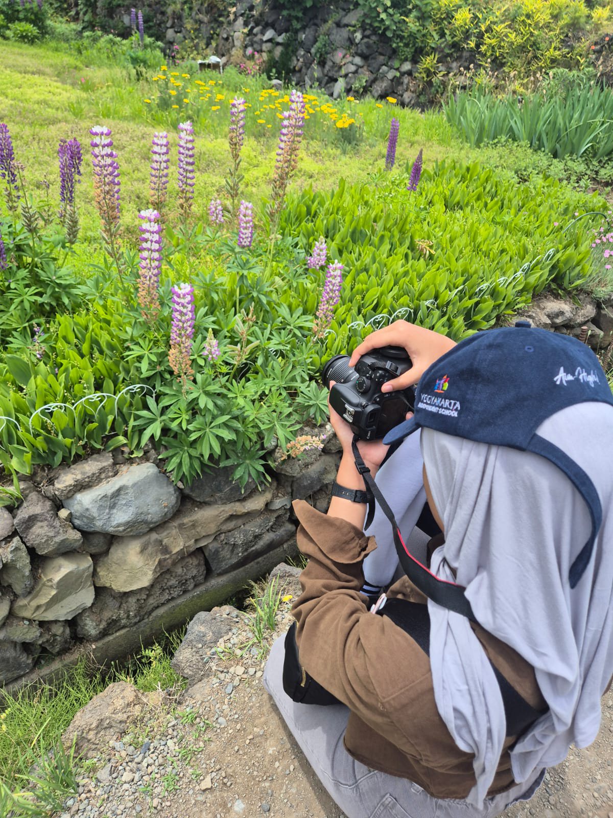 YIS traveler photographing flowers near Mount Fuji