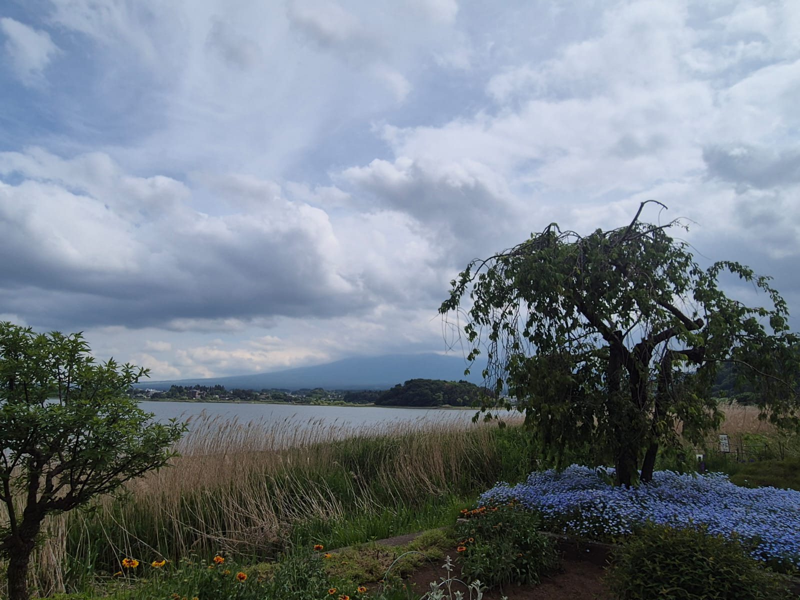Lakeside view with Mount Fuji behind clouds