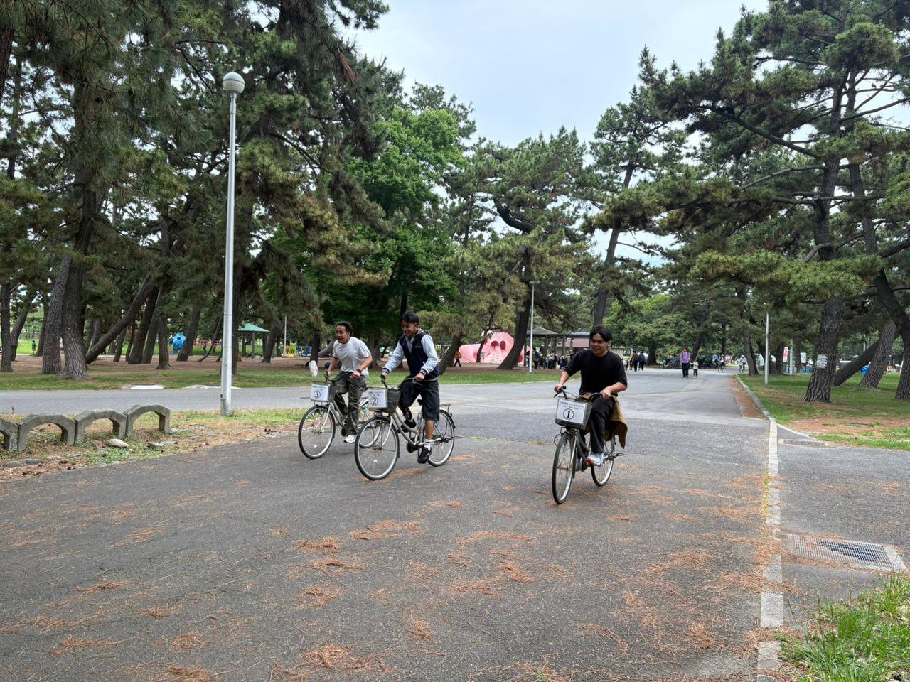 Dhana, Nevan and Radif racing bicycles around the hotel grounds