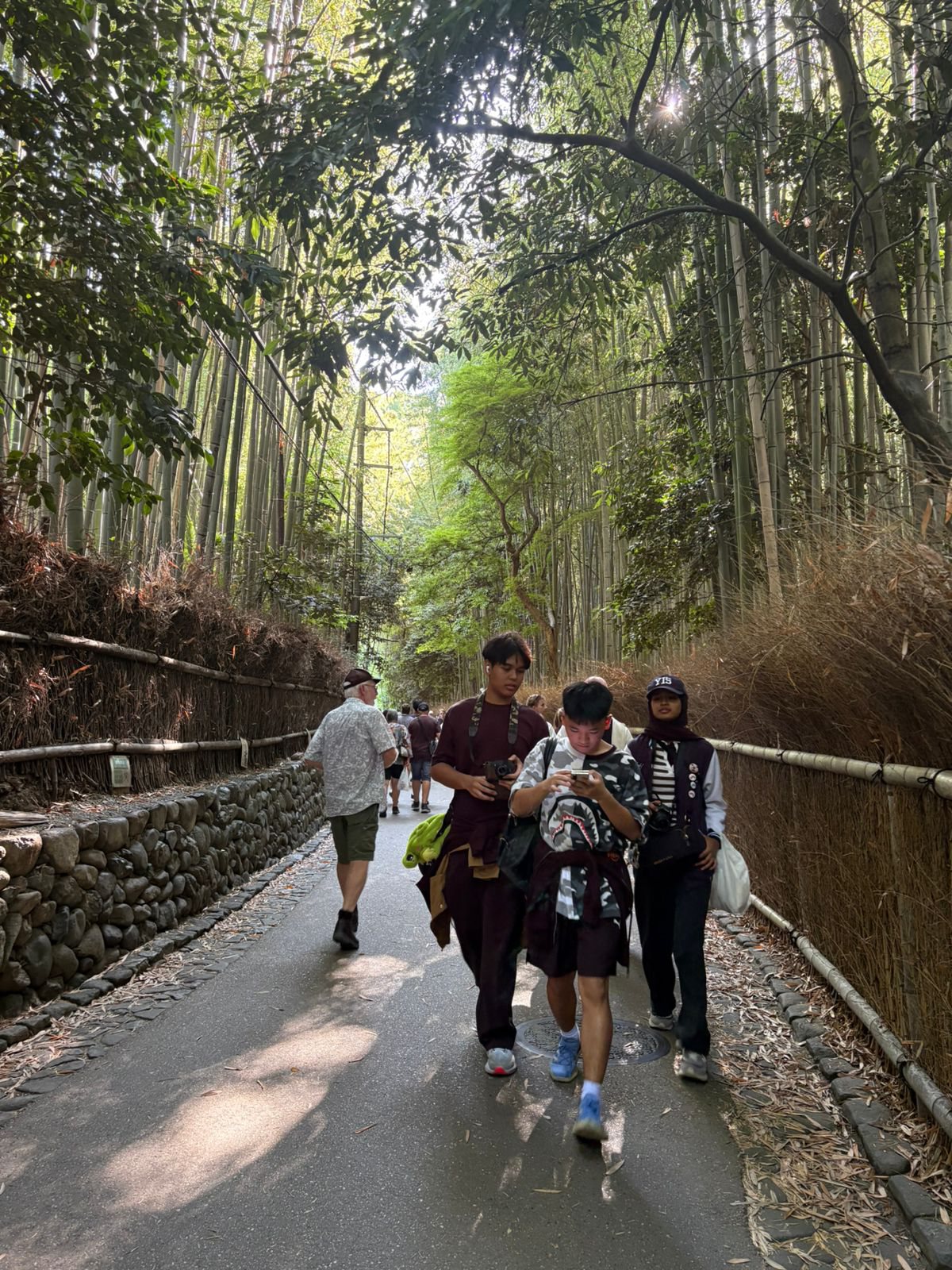 YIS students walking through Arashiyama Bamboo Grove