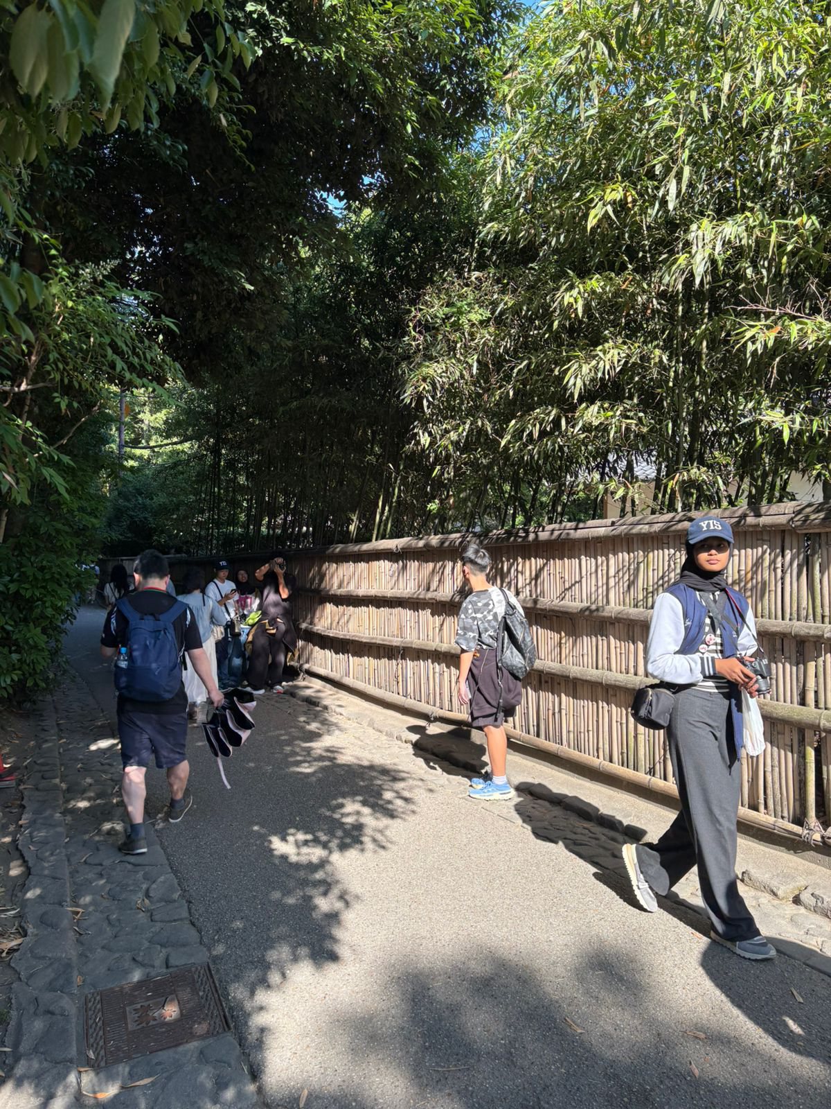 YIS students walking along a shaded path at Arashiyama Bamboo Grove