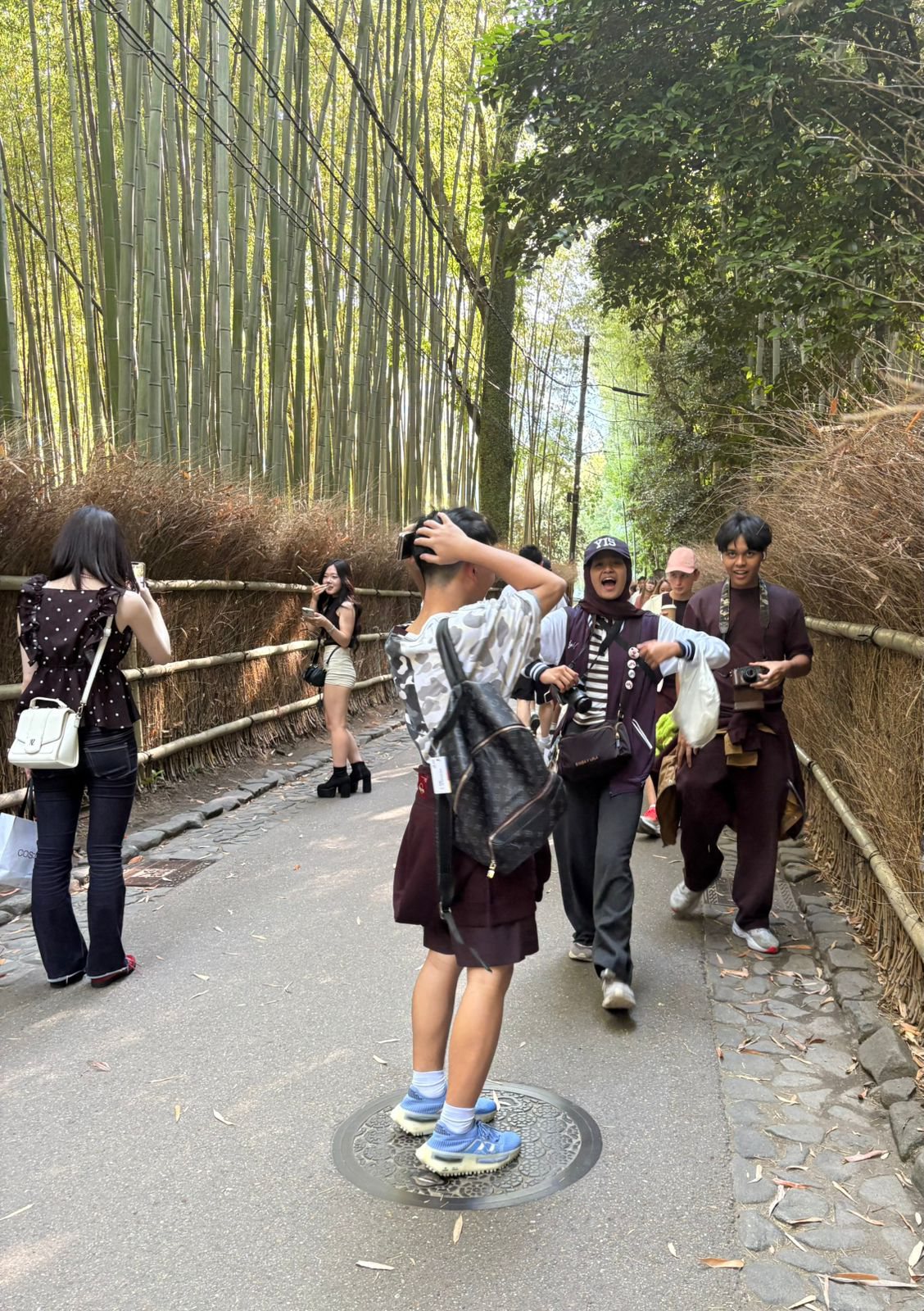 YIS students among the tall bamboo at Arashiyama Bamboo Grove